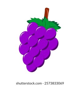 simple illustration of grapes.grape vector