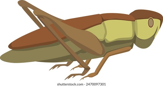 A simple illustration of a grasshopper