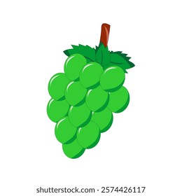 simple illustration of green grapes. green grapes vector