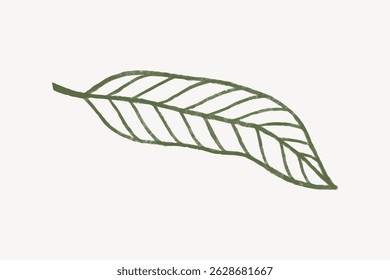 Simple illustration of a green leaf with visible veins on a white background. The leaf is drawn with clean lines, emphasizing its natural shape and texture. Leaf illustration vector.