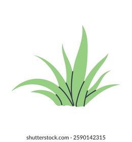 Simple illustration of green succulent plant. Perfect for creating minimalist plant designs