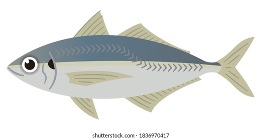 Simple illustration of horse mackerel on white background