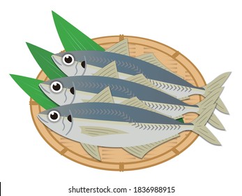 Simple illustration of horse mackerel on a colander