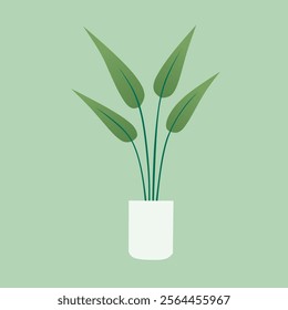 Simple illustration of a houseplant in a white pot against a mint green background.