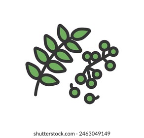 Simple Illustration of Japanese Pepper