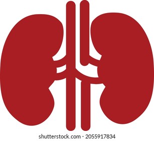 Simple illustration of kidney icon symbol vector