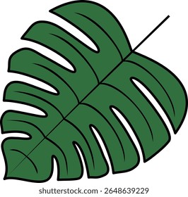 Uma ilustração simples de uma folha por Montes et al.
