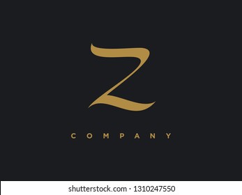 Simple illustration logo design letter Z