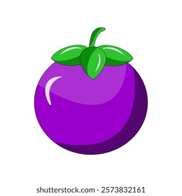 simple illustration of mangosteen fruit. mangosteen vector
