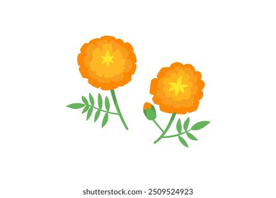 Ilustração simples de flor de calêndula