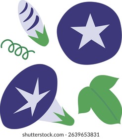 A simple illustration of morning glory, a famous summer flower