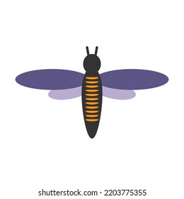 Simple illustration of a moth on a white background. vector illustration
