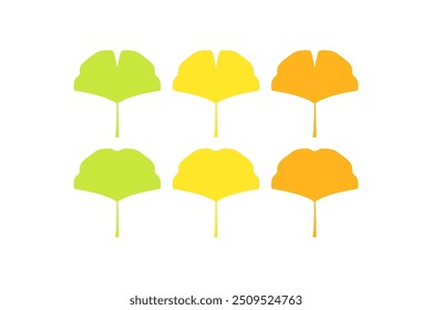 Simple illustration oh ginkgo leaf 