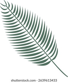 A simple illustration of a palm leaf, famous for its summery leaves