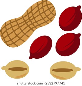 Ilustración simple de conjunto de maní con cáscara y contenido