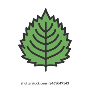 Simple Illustration of Perilla (or Shiso)