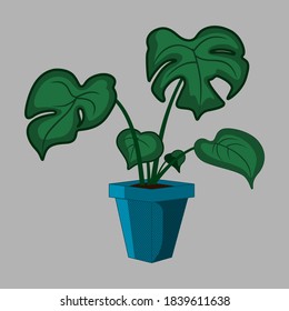 ilustración simple de plantas de philodendron variante 1
