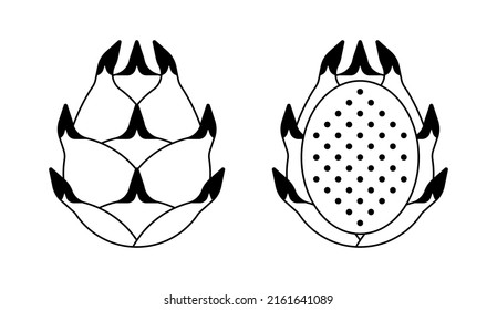 Simple illustration of pitaya vector icon in white and black color