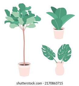 simple illustration of plant for interior