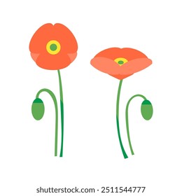 A simple illustration of poppy 