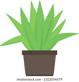Simple illustration of a Potted plant of agave