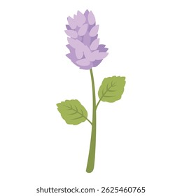 Simple illustration of a purple flower with green leaves standing tall on a thin green stem
