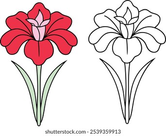 A simple illustration of a red iris flower with three green leaves, displayed next to a black outline of the same flower.