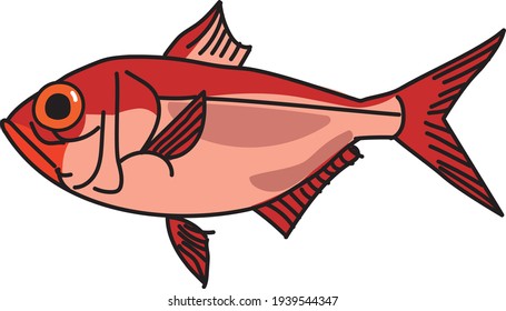 A simple illustration of red sea bream