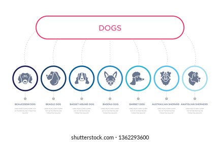 simple illustration set of 7 vector blue icons such as anatolian shepherd dog dog, austrailian shepard dog, barbet, basset hound beagle beauceron infographic design with 7 icons pack