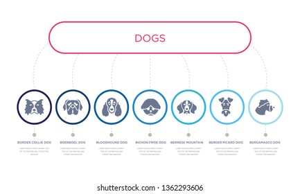 simple illustration set of 7 vector blue icons such as bergamasco dog, berger picard dog, bernese mountain dog, bloodhound boerboel border collie infographic design with 7 icons pack