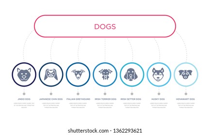 simple illustration set of 7 vector blue icons such as hovawart dog, husky dog, irish setter dog, italian greyhound japanese chin jindo infographic design with 7 icons pack