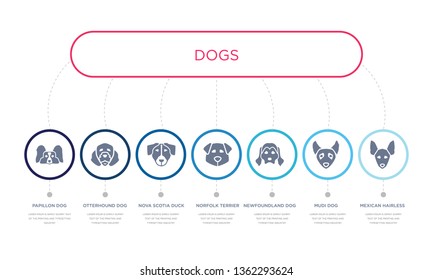 simple illustration set of 7 vector blue icons such as mexican hairless dog dog, mudi dog, newfoundland, nova scotia duck tolling retriever otterhound papillon infographic design with 7 icons