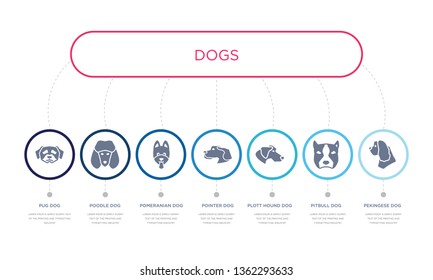 Simple Illustration Set Of 7 Vector Blue Icons Such As Pekingese Dog, Pitbull Dog, Plott Hound Dog, Pomeranian Poodle Pug Infographic Design With 7 Icons Pack