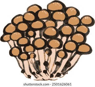 A simple illustration of Shimeji mushrooms drawn in ink