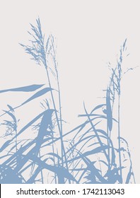 Simple Illustration with Silhouette of Water Grass. Pale Blue Hand Drawn Reed Isolated on a Light Gray Background. 