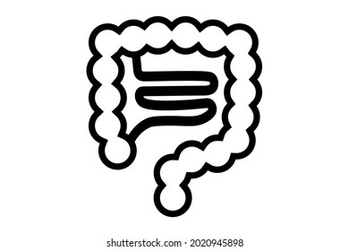 A simple illustration of small and large intestines. Vector illustration.