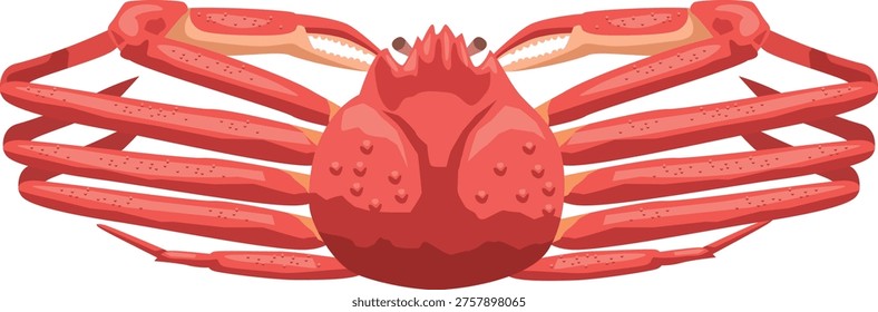 A simple illustration of a snow crab.
