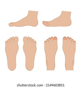 It is a simple illustration of the sole, instep, and side of the foot.Easy-to-use vector material.