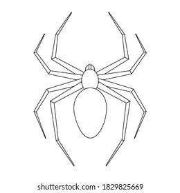 Simple illustration of spider for Happy Halloween Day