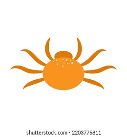 Simple illustration of a spider on a white background. vector illustration