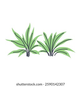 Simple illustration of succulent plant. Perfect for creating minimalist and modern plant designs