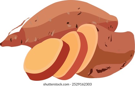 Simple Illustration of Sweet Potato