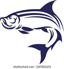 Simple Illustration of Tarpon Fish