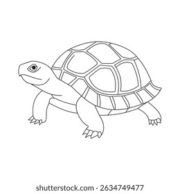 Simple Illustration of a Tortoise Facing Right with Visible Shell Design