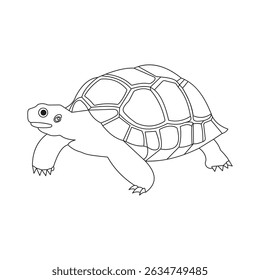 Simple Illustration of a Tortoise Facing Right with Visible Shell Design