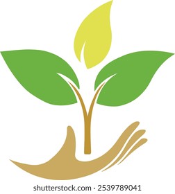 A simple illustration of a Tree. The leaf has a smooth, pointed shape with visible veins branching out from the central vein. It appears to be a stylized drawing with a solid color