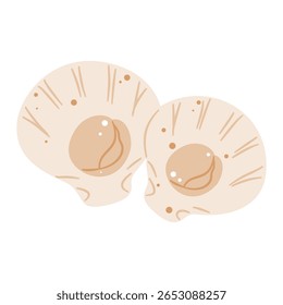 Ilustração simples de duas conchas marinhas beges, perfeitas para temas de praia, oceano e verão.