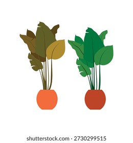 Ilustração simples de duas plantas verdes em vasos, uma com folhas largas e a outra em um vaso de laranja, representando a natureza, jardinagem ou decoração de interiores. Adequado para temas ambientais, domésticos e botânicos com um design bonito e plano.