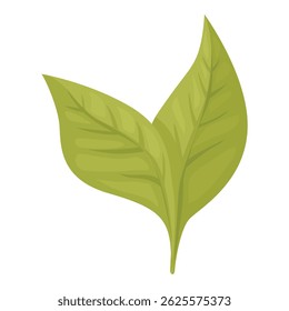 Simple illustration of two green leaves perfect for environmental projects