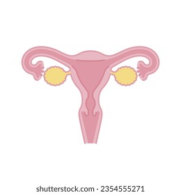 Simple illustration of the uterus - front view (image material)